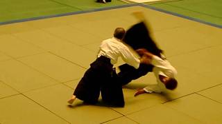 第48回全日本合気道演武大会 白川勝敏師範 shirakawa Katsutoshi shihan [upl. by Edson]