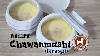 FEEDMYPAWS  Recipe CHAWANMUSHI for DOGS [upl. by Marrilee]