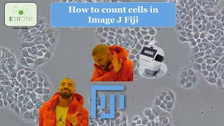 Cell Counting Made Easy Using ImageJ to Analyze Microscopy Images [upl. by Best938]