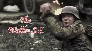 The Waffen SS Intense Combat Footage [upl. by Aratehs]