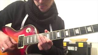 Chuck Loeb Diminished Scale Licks  Nico Schliemann [upl. by Ettesil]