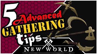 New World  5 Advanced Gathering Tips [upl. by Derron]