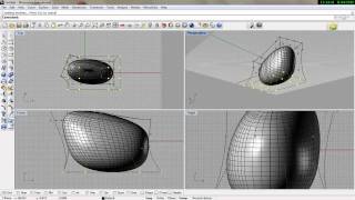 organic modeling with Rhinomp4 [upl. by Korff]