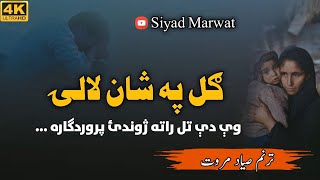 Siyad Marwat  Sas Ghazal  Natt 2024 We De Tal Rata Jundai Parwardigara  Ghazal Taranee [upl. by Adnouqal]