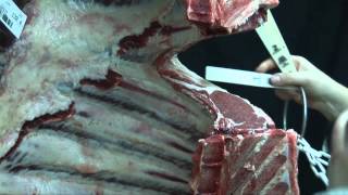 How a beef carcase is graded to Meat Standards Australia MSA specifications [upl. by Vera509]