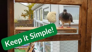 Simple amp Effective Setting Up Our New Pigeon Loft [upl. by Anirec]