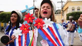 Especial Folia de Reis na TV Brasil [upl. by Eseenaj102]