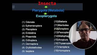 SURVEY OF INSECTSPTERYGOTAEXOPTERYGOTA [upl. by Anircam237]