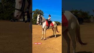 Dhruvi Rambo Horse 🐎 Riding  horse horses ghoda horseriding horselover ytvideo shortsfeed [upl. by Trinity388]