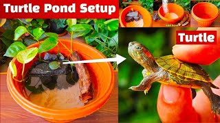 Turtle pond setup  Turtle Pond setup at home  Turtle pond making  Turtle from Pari Aquarium 🐢 [upl. by Annaoy]