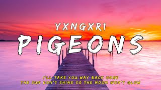 yxngxr1  PIGEONS Lyrics [upl. by Forrer723]