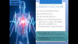 FARMACOLOGIA DE LA SEROTONINA 5HIDROXITRIPTAMINA [upl. by Ashley]