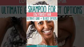 Best Shampoo for Low Porosity Hair 2024 lowporosity [upl. by Teirrah]