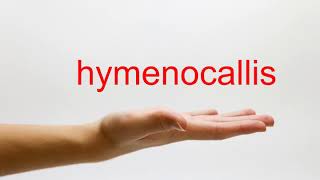 How to Pronounce hymenocallis  American English [upl. by Politi801]