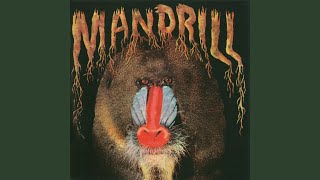 Mandrill [upl. by Caitlin]