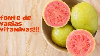 Suco de goiaba e suas vitaminas [upl. by Eriuqs]