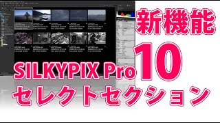 SILKYPIX Pro10のセレクトセクション機能【RAW現像】 [upl. by Frantz]