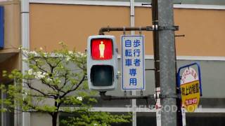 Japanese Traffic Light  Pedestrian [upl. by Hsitirb4]