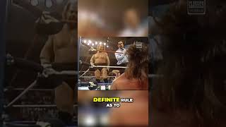 Why is Brutus Beefcake at Ringside A Distraction Debate BrutusTheBarber Beefcake [upl. by Airtemad]