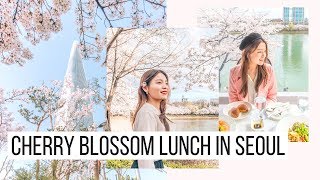 Lunch Amongst the Cherry Blossoms 🌸 Lotte World Mall 🇰🇷 Korea Vlog [upl. by Culver]