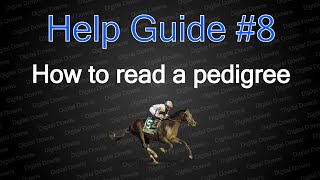 How to read horse pedigrees  Help guide 8 ✅ [upl. by Naillimixam949]