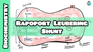 Rapoport Leubering Shunt made simple for inicet neetpg usmle nclex [upl. by Aneelahs]