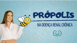 PRÓPOLIS  DOENÇA RENAL CRÔNICA [upl. by Jehias811]