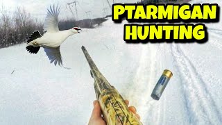 PTARMIGAN HUNTING  QUEBEC BIRD HUNTING [upl. by Xad]