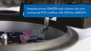 Integrate proven QIAGEN spin columns into your commercial PCR workflow with OEM by QIAGEN [upl. by Annazor]