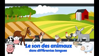 Onomatopées  Le son des animaux dans différentes langues [upl. by Naxela]