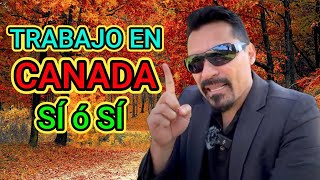 🚨 EMPLEO FACIL EN CANADÁ 😱 Les cuento COMO [upl. by Starkey892]