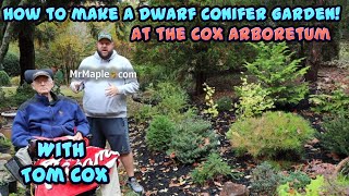 Creating A Dwarf Conifer Garden With Tom Cox  Cox Arboretum amp Gardens [upl. by Beora]