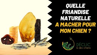 Quelles friandises à mâcher pour mon chien [upl. by Aretak]