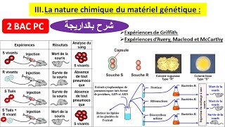 Nature chimique de linformation génétique 2 bac pc شرح بالداريجة [upl. by Yendahc]