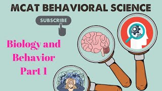 MCAT Behavioral Science Chapter 1  Biology and Behavior Lecture 14 [upl. by Nolyad300]