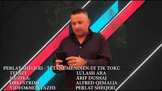 Perlat Sheqeri  Tetane mendjen te TikToku [upl. by Oj]