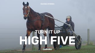 Turn It Up Is Back For His Fifth Tilt At The Ladbrokes Blacks A Fake [upl. by Alisha]