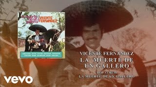 Vicente Fernández  La Muerte de un Gallero Cover Audio [upl. by Gabor]