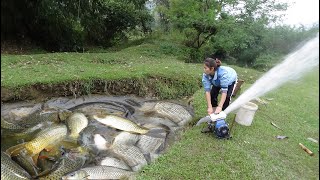 Full Video Fishing Techniques How to Fishing in The Wild Harvesting Many Big Fish  Girl Fishing [upl. by Arada]