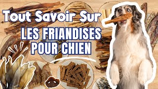 Friandise pour Chien  Le Guide Complet [upl. by Ellicott]