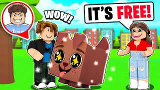 We Pretended To Be NOOBS To Test OUR SISTER Roblox Pet Simulator X [upl. by Nillor748]