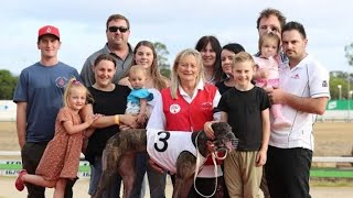 We had two semifinals of the Group 3 Brian Johnstone series last night 730m greyhounds Race South [upl. by Vernor]