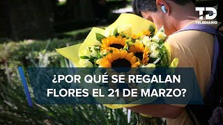 ¿Por qué se regalan FLORES AMARILLAS el 21 de marzo Este es el significado [upl. by Airbmac]