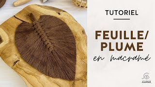 Tutoriel DIY  Plume ou feuille en macramé [upl. by Ennagem871]