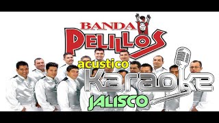 karaoke mi vida sin ti banda pelillos acustico [upl. by Lavotsirc]