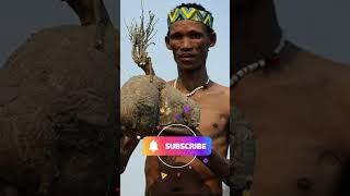 The Khoisan Origin Culture Tradition And Language southafrica khoisan tribe africa origin [upl. by Ileak134]