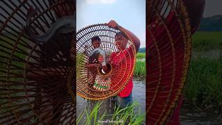 Village Traditional Bamboo Tools Polo fishing video😲🎬Part41fishing viralvideo shortvideo [upl. by Aetnahs]