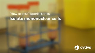 Ficoll™ density gradient media tutorial How to isolate mononuclear cells [upl. by Yaffit463]