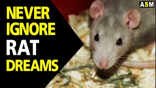 What does Rat dream meaning  Rat Dream interpretation  Dreaming of rats [upl. by Ellga218]