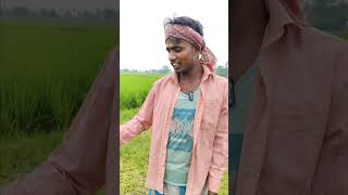 bhatija cal tumhara shaadi karva denge comedy short tanvirtoptv shortsfeed [upl. by Ameehs]